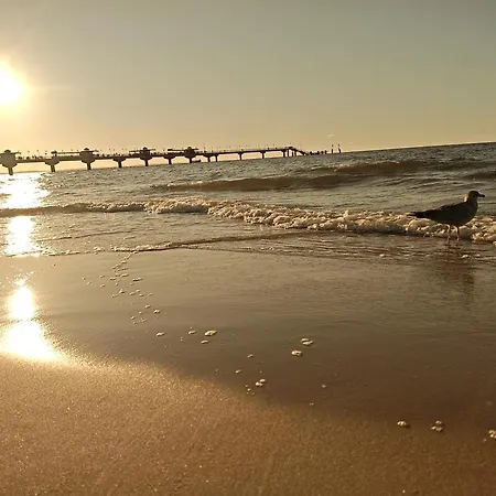 Gryfhaus - Pokój Bosmański * Miedzyzdroje