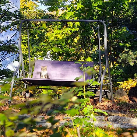 Gryfhaus - Pokój Bosmański Apartamento