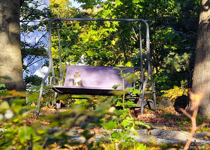 Gryfhaus - Pokój Bosmański Apartament